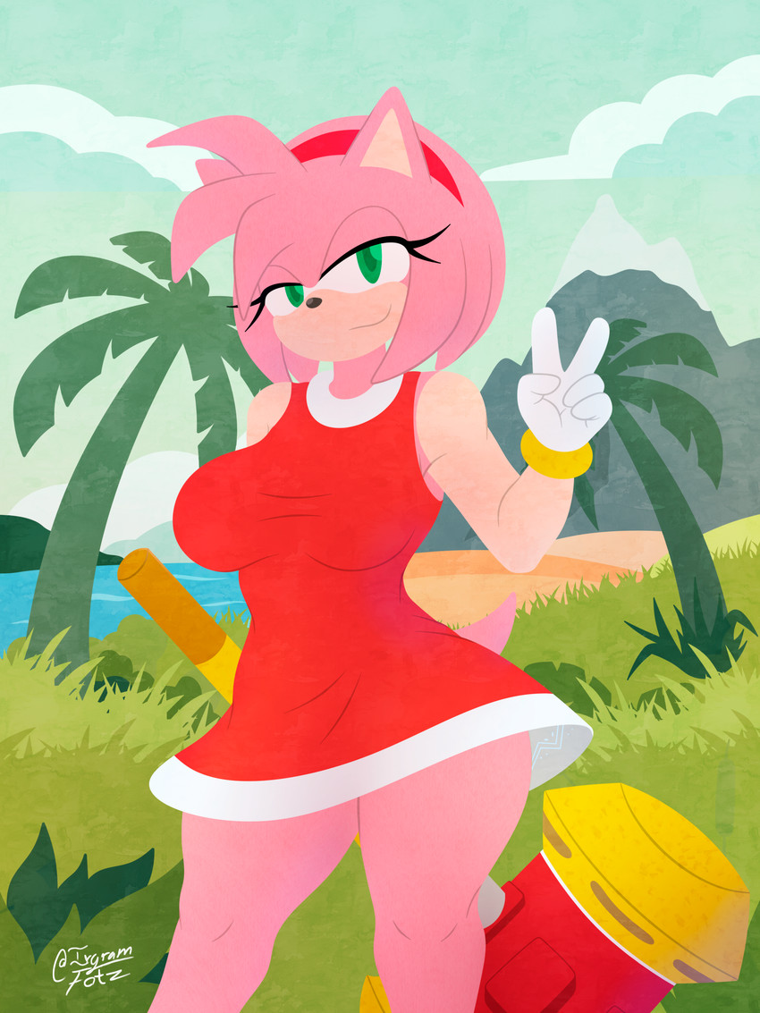 amy rose (sonic the hedgehog (series) and etc) created by irgramfox