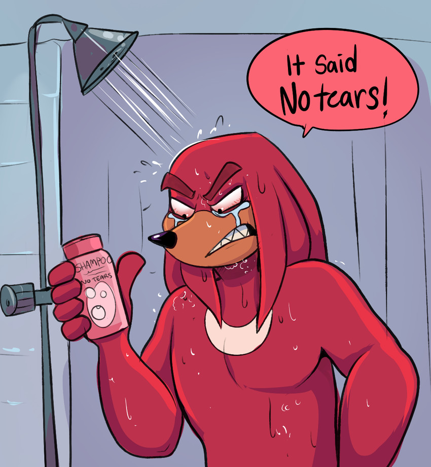 knuckles the echidna (sonic the hedgehog (series) and etc) created by beastofeuthanasia