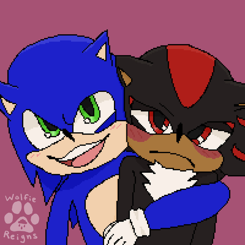 shadow the hedgehog and sonic the hedgehog (sonic the hedgehog (series) and etc) created by wolfiereigns