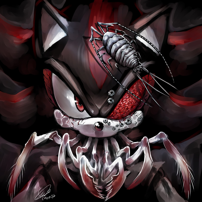calne ca and shadow the hedgehog (bacterial contamination (song) and etc) created by soina