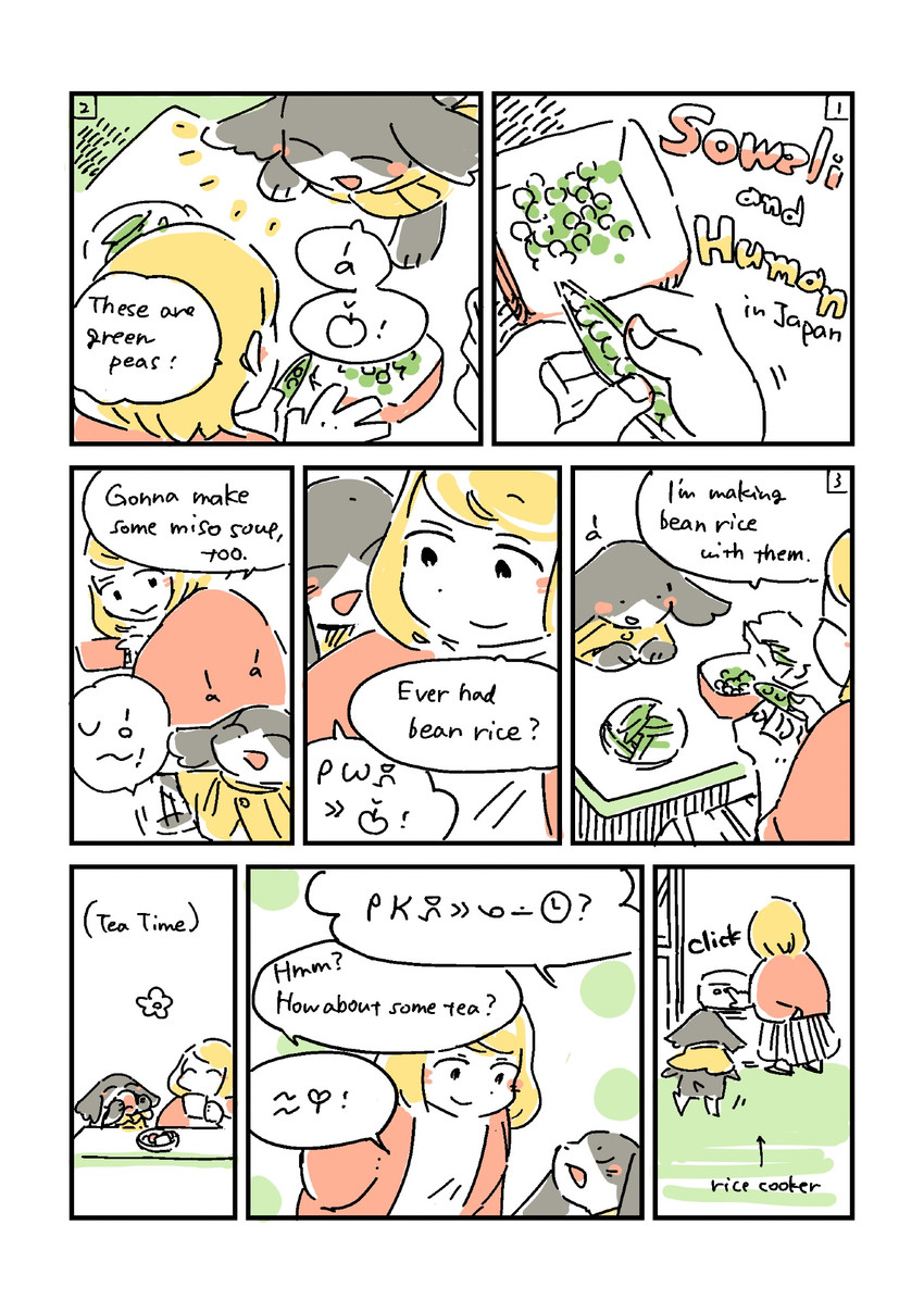 created by tokiko komaki