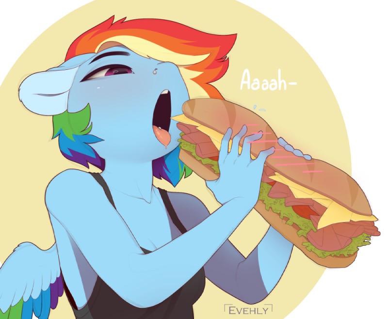 rainbow dash (friendship is magic and etc) created by evehly