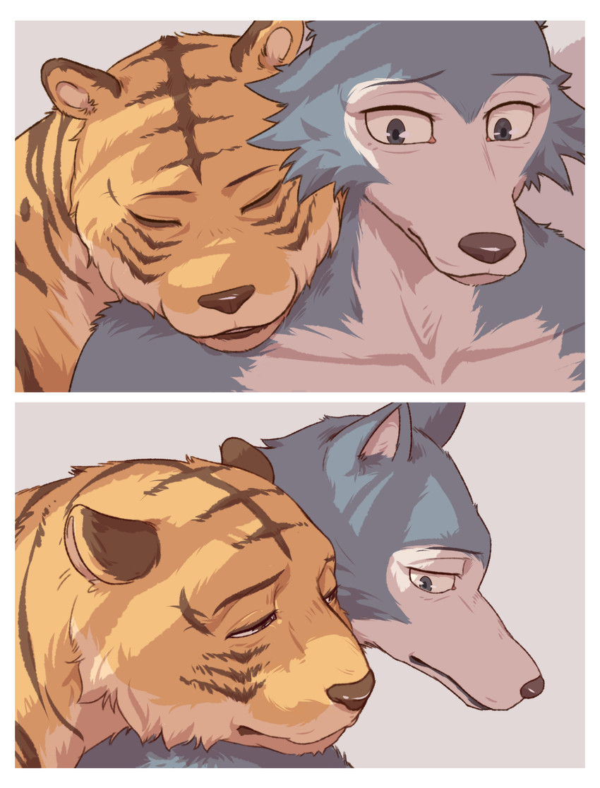 bill and legoshi (beastars) created by sadness hao