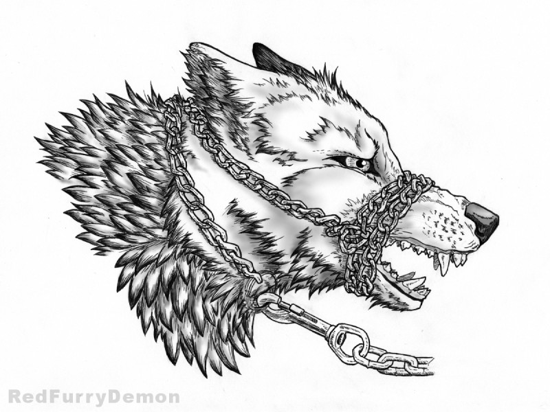created by redfurrydemon