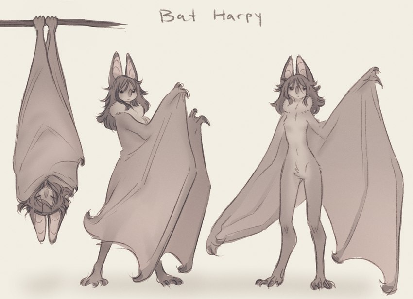created by tateoftot