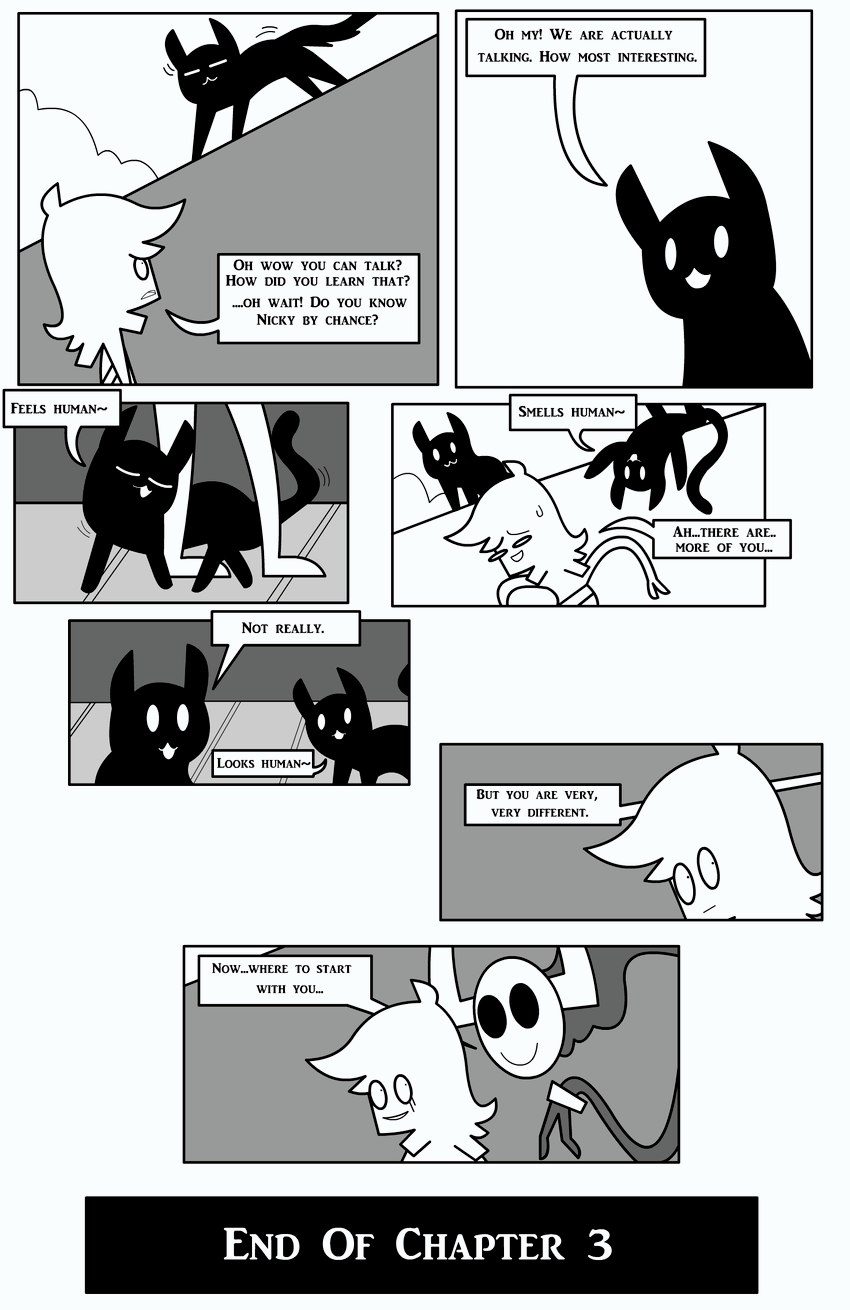 daniel toke and endervine created by shane frost