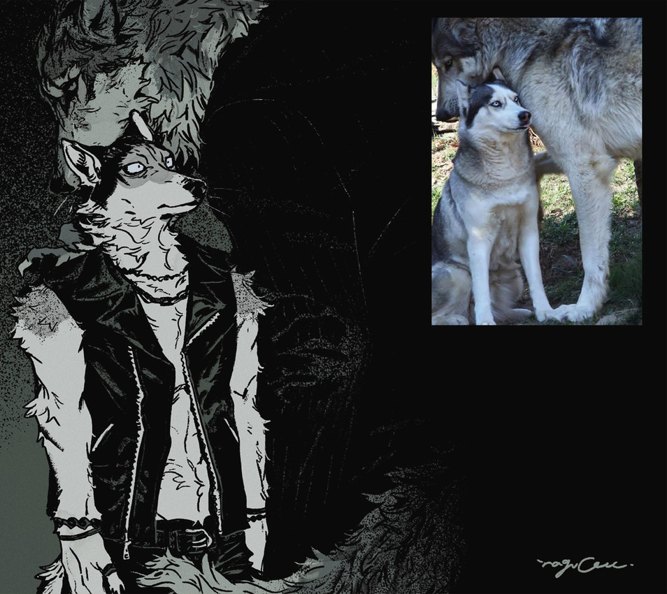 husky and wolf meme created by mucknagabe