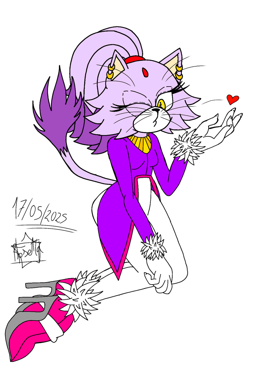 blaze the cat (sonic the hedgehog (series) and etc) created by rosetta456