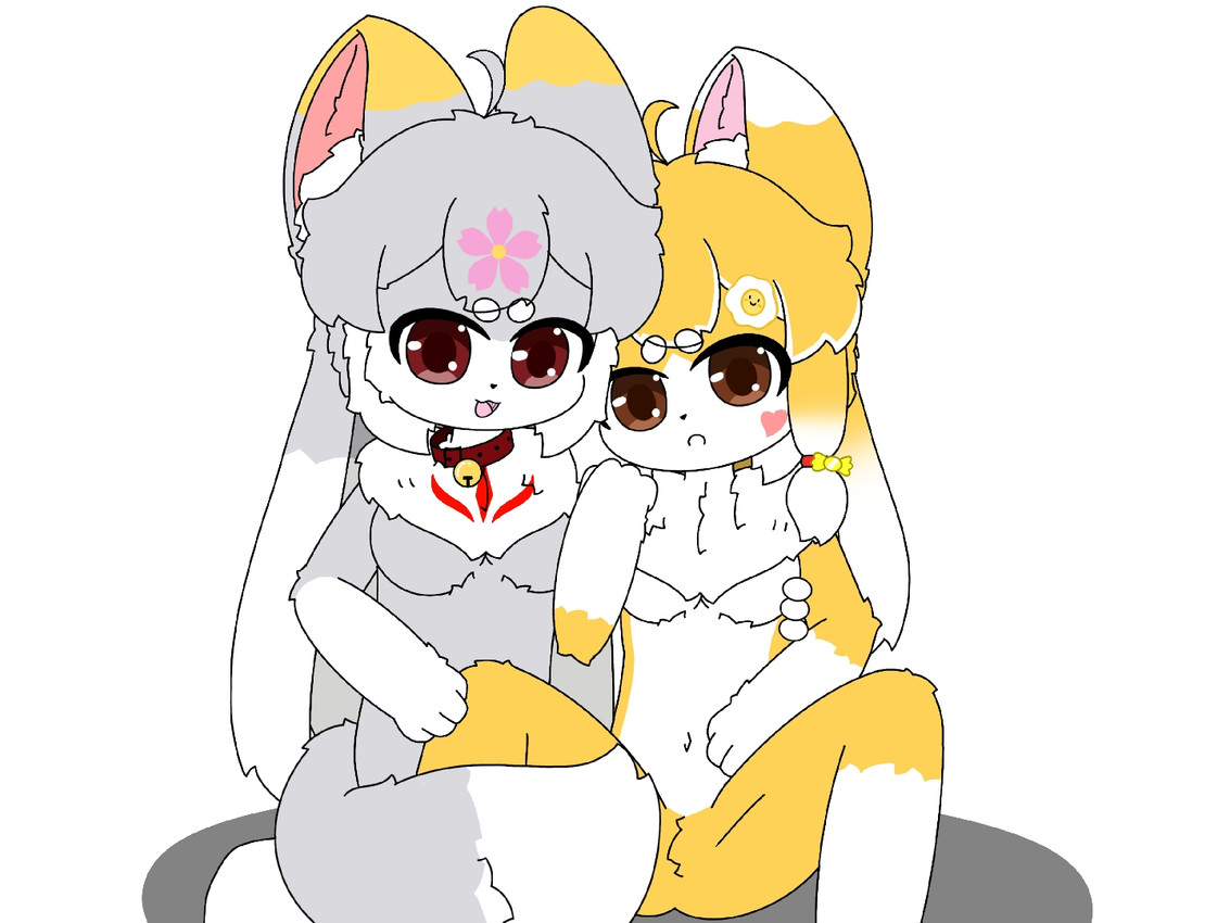 created by wenxinqwq