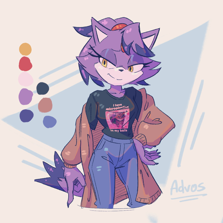 blaze the cat (sonic the hedgehog (series) and etc) created by advos