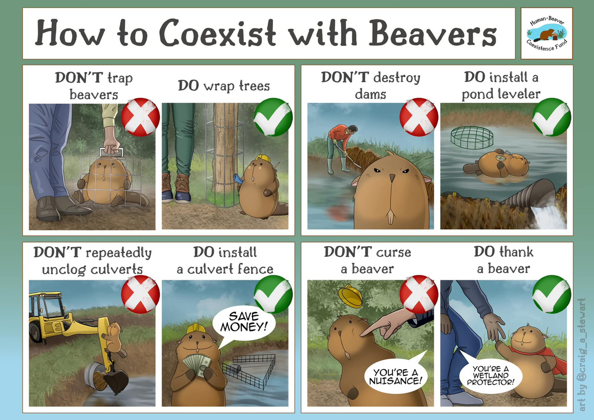 how to coexist with beavers created by craig a stewart
