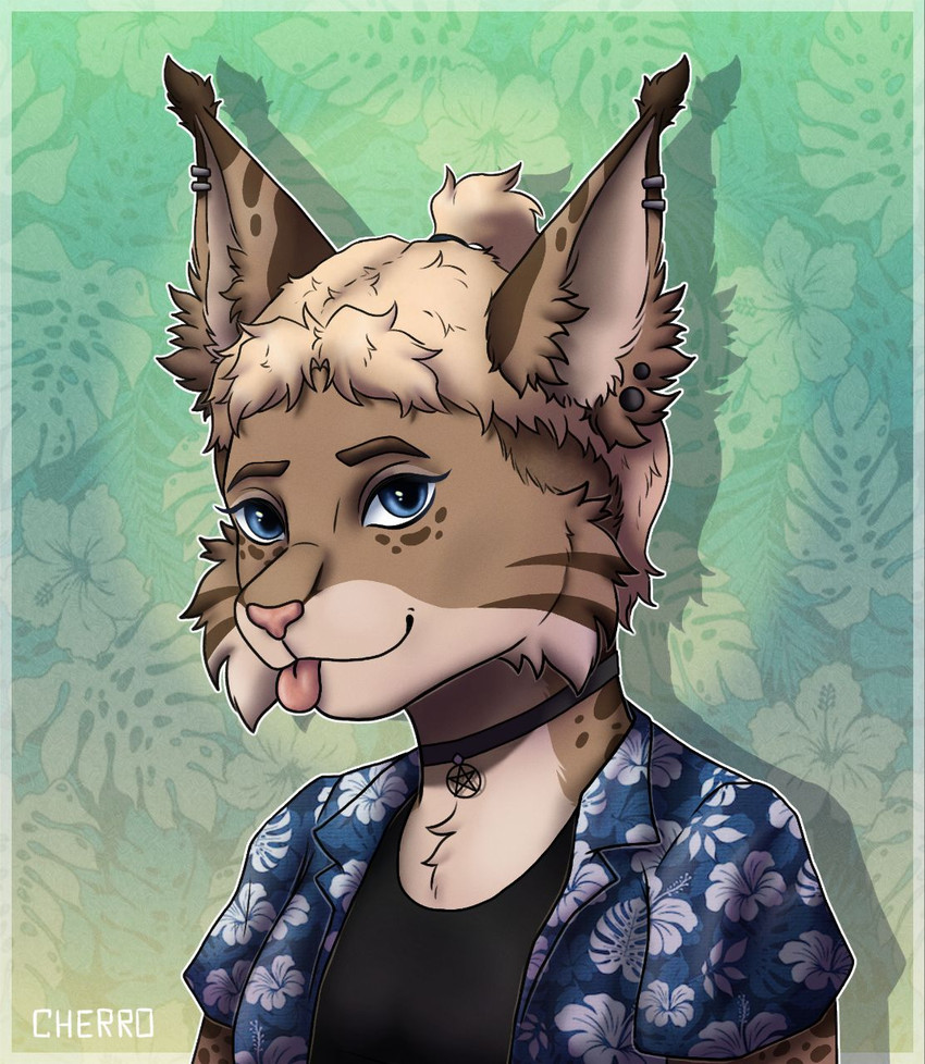 cherro lynx
