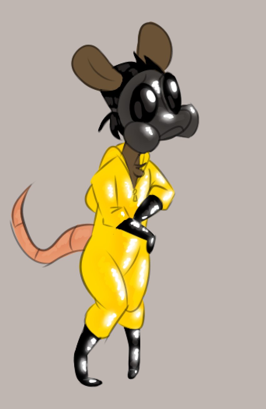 rocko created by hhbrother
