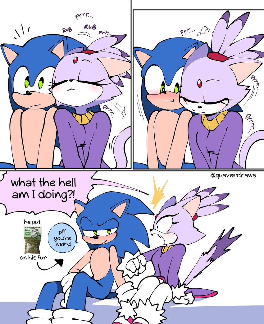blaze the cat and sonic the hedgehog (sonic the hedgehog (series) and etc) created by quavernsfw