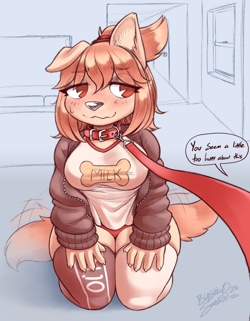 biscuit created by blasticussaturn