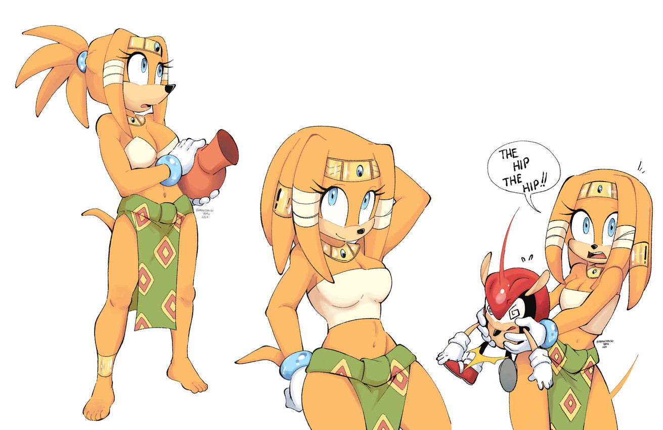 chel, mighty the armadillo, and tikal the echidna (sonic the hedgehog (series) and etc) created by arantarisu yamu