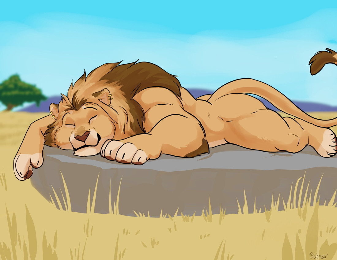 created by seibear