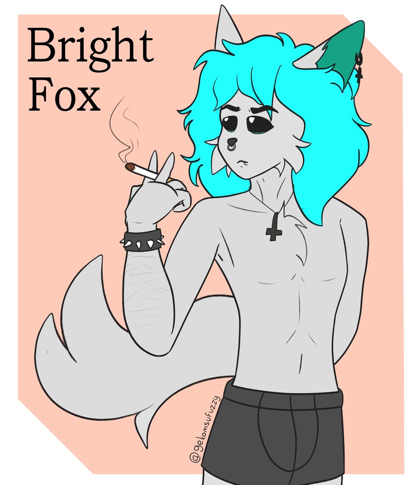 created by gekomsufuzzy