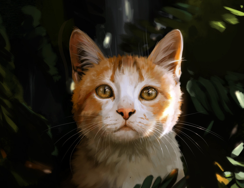 created by muns11