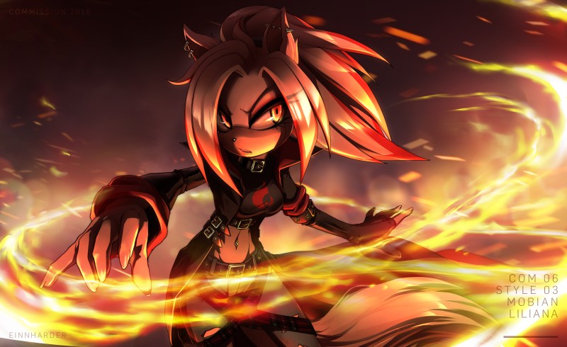 fan character (sonic the hedgehog (series) and etc) created by einnharder