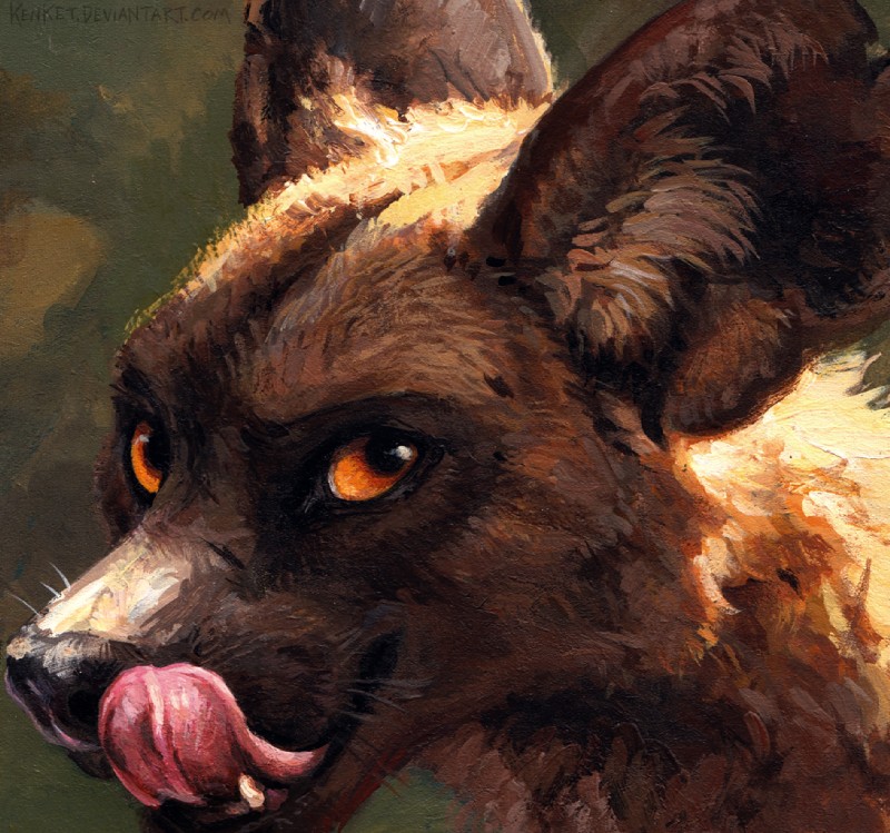 created by kenket