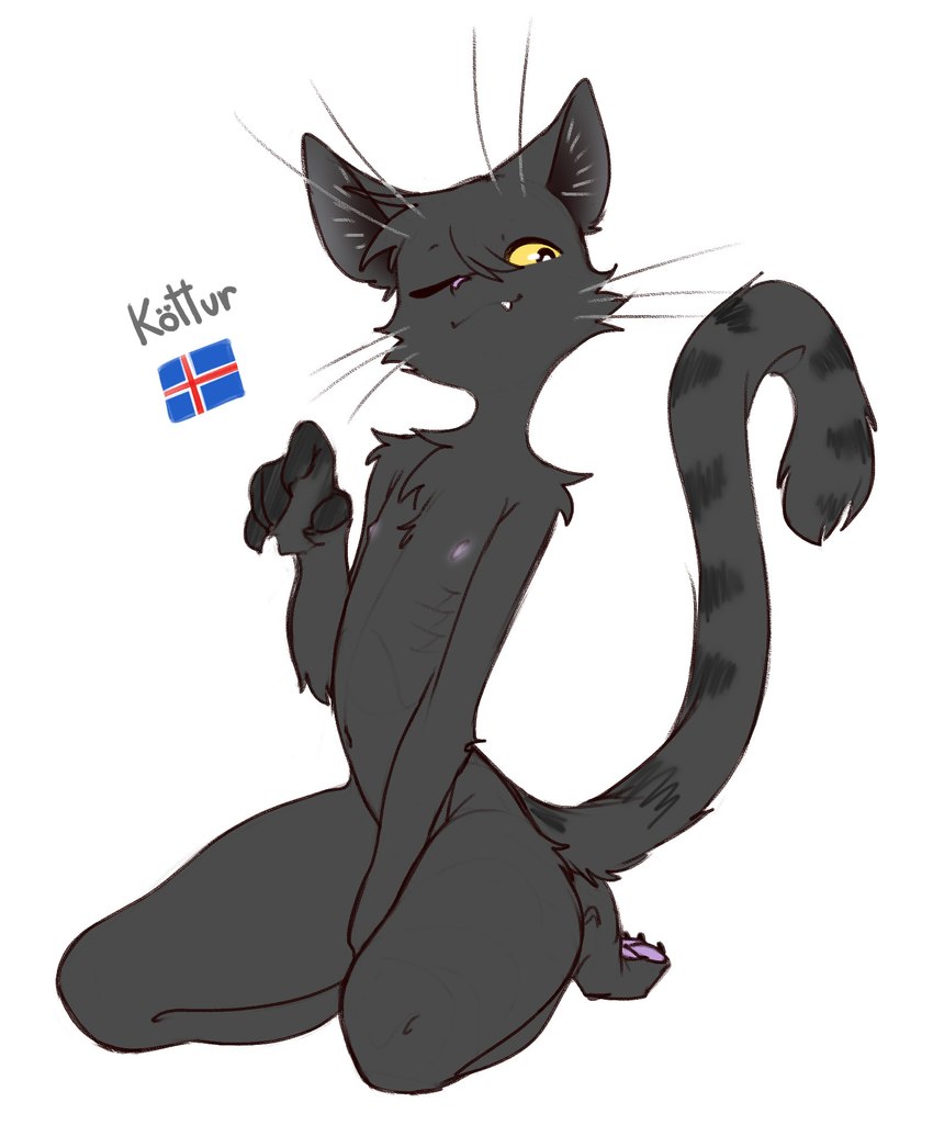 created by nekodoiko