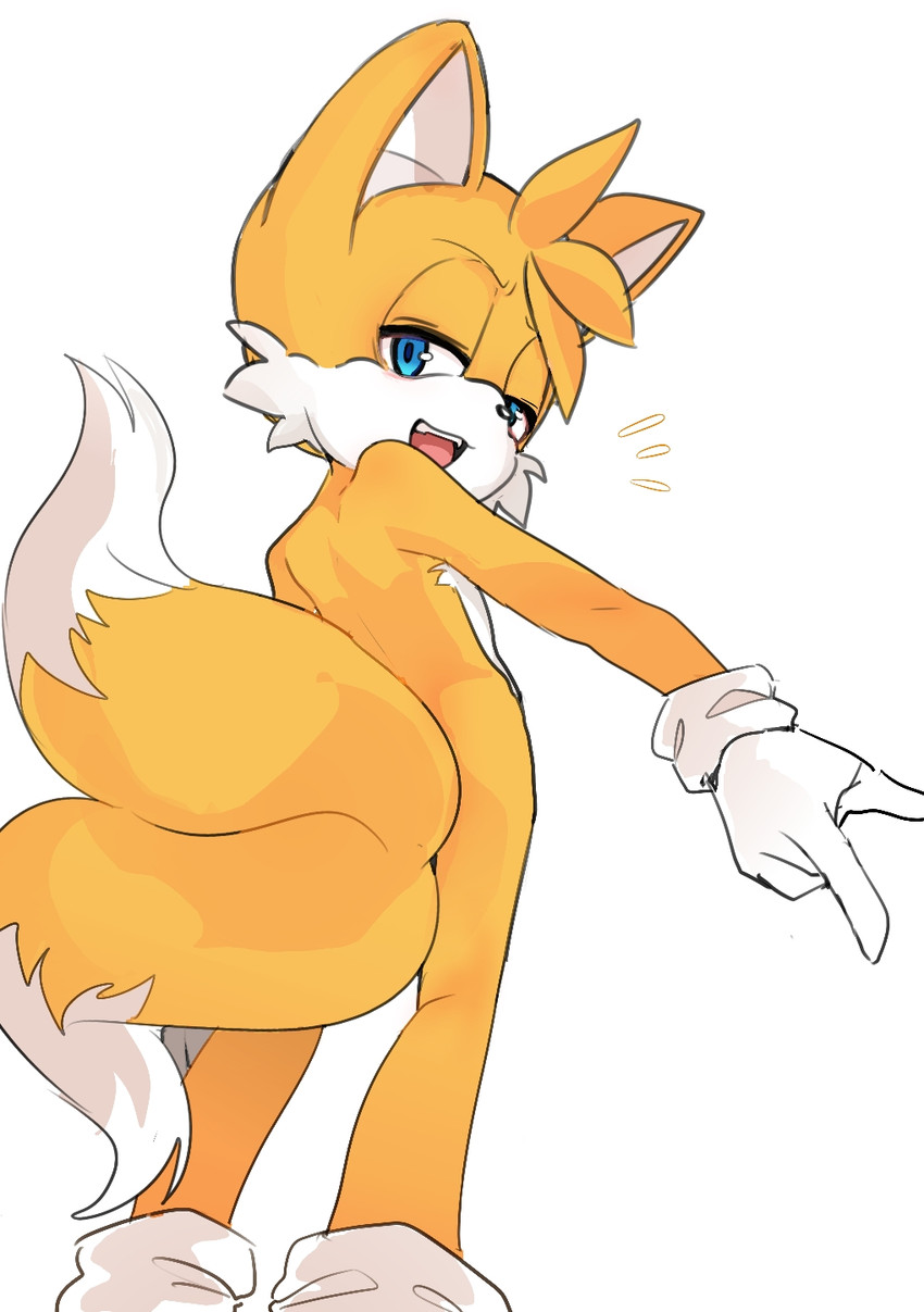 miles prower (sonic the hedgehog (series) and etc) created by pearlgang e