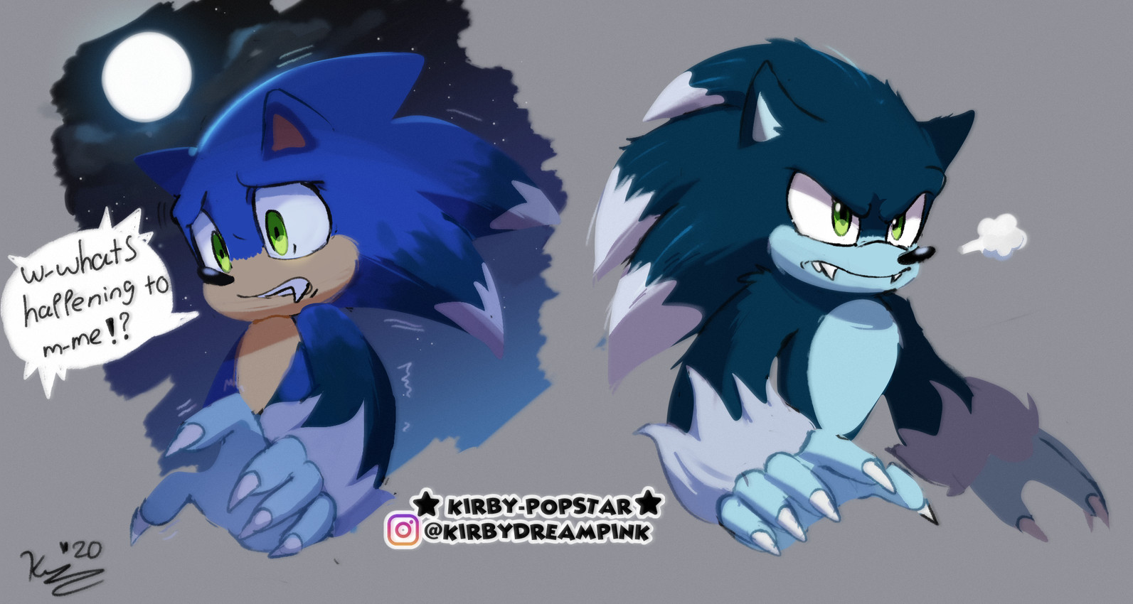 sonic the hedgehog and sonic the werehog (sonic the hedgehog (series) and etc) created by kirby-popstar and kirby stardream