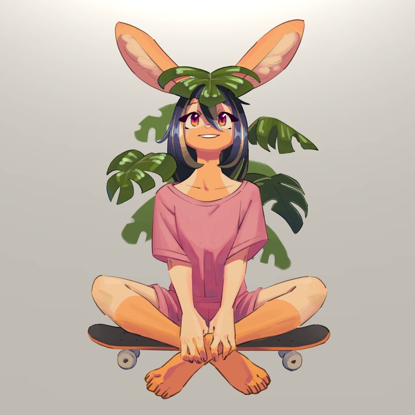 acerola created by kemari