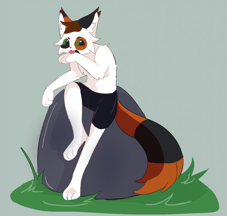 created by bloowolfy