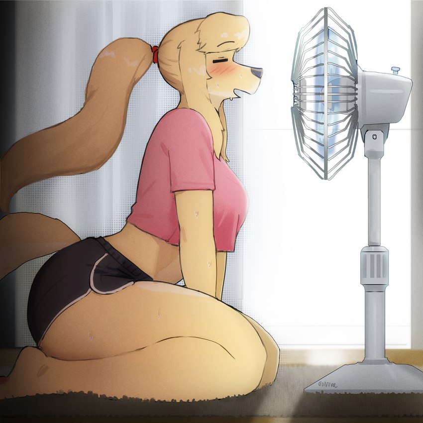 liz created by 00niine