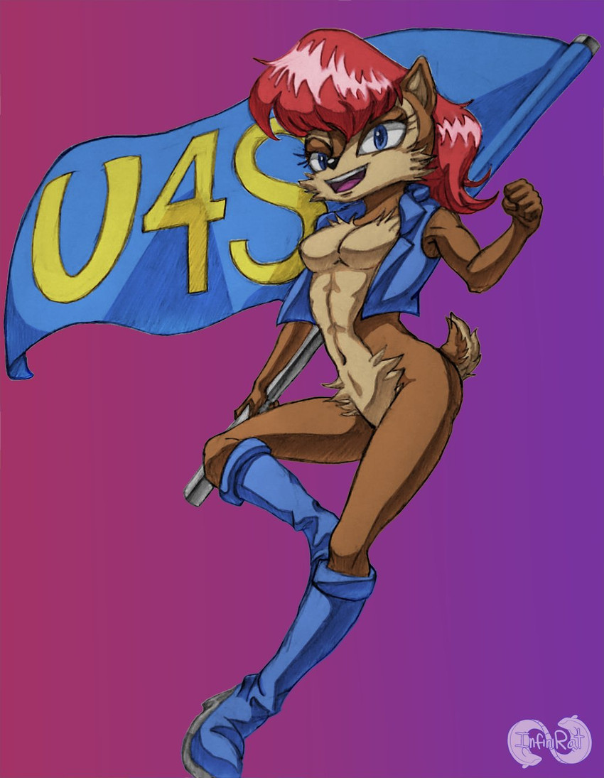sally acorn (sonic the hedgehog (series) and etc) created by infinirat
