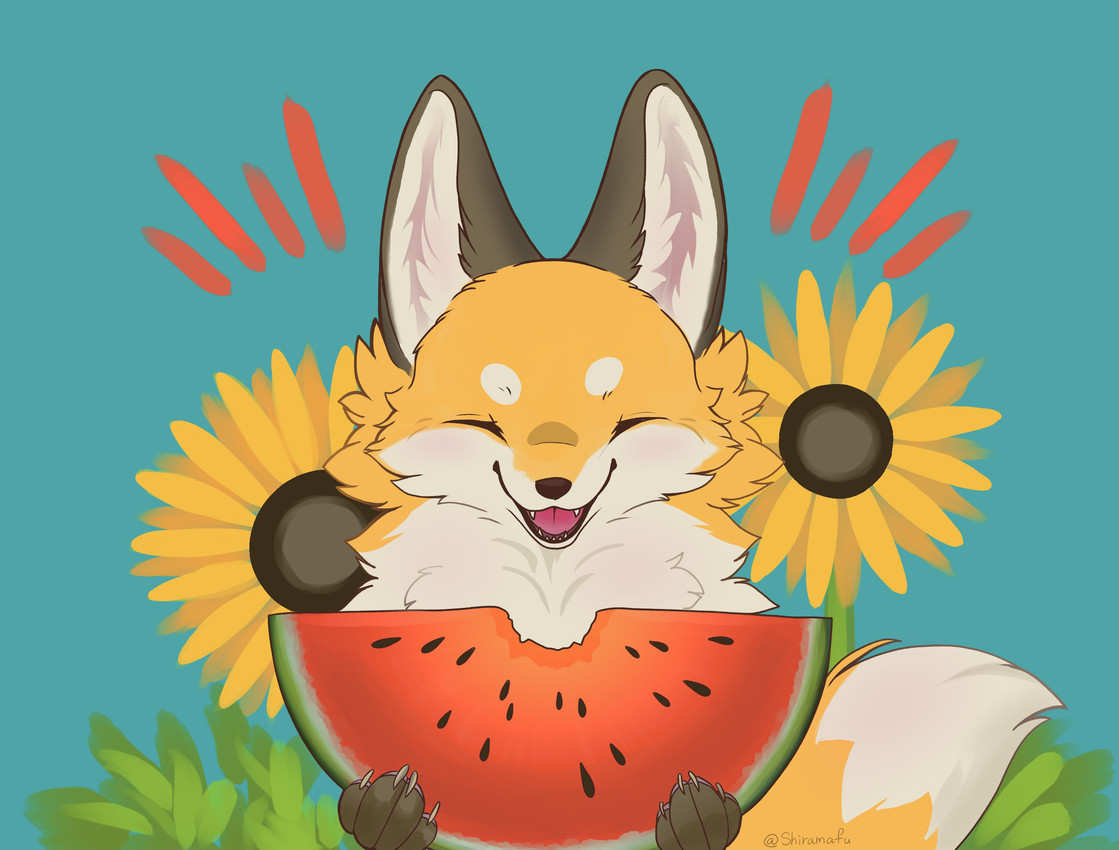 created by shiramafu