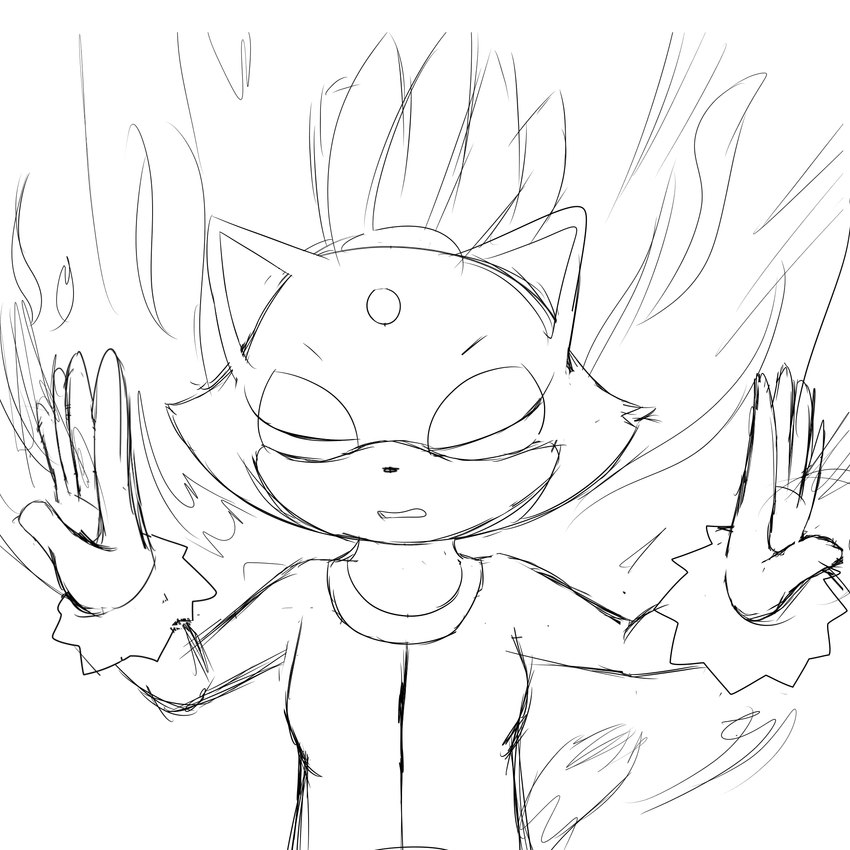 blaze the cat (sonic the hedgehog (series) and etc) created by meowmix