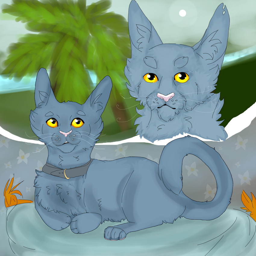jalal the paw and varjak paw (varjak paw) created by lightcourage