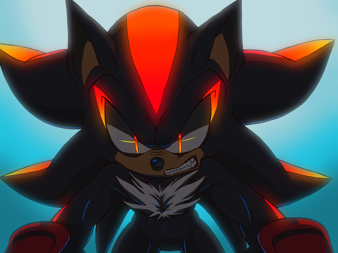 shadow the hedgehog (sonic the hedgehog (series) and etc) created by nowykowski7