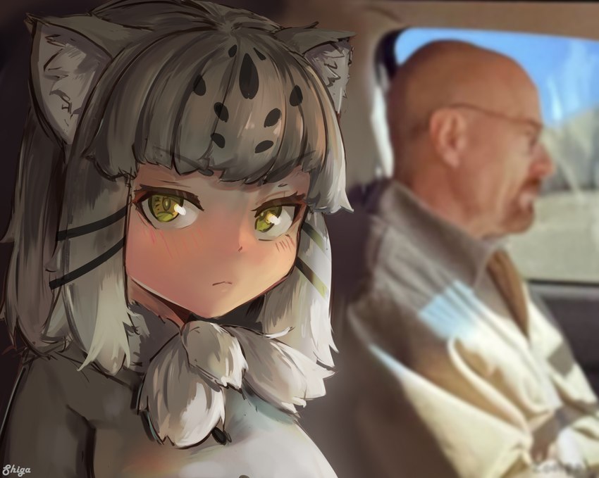 pallas's cat and walter white (kemono friends and etc) created by shiga 96