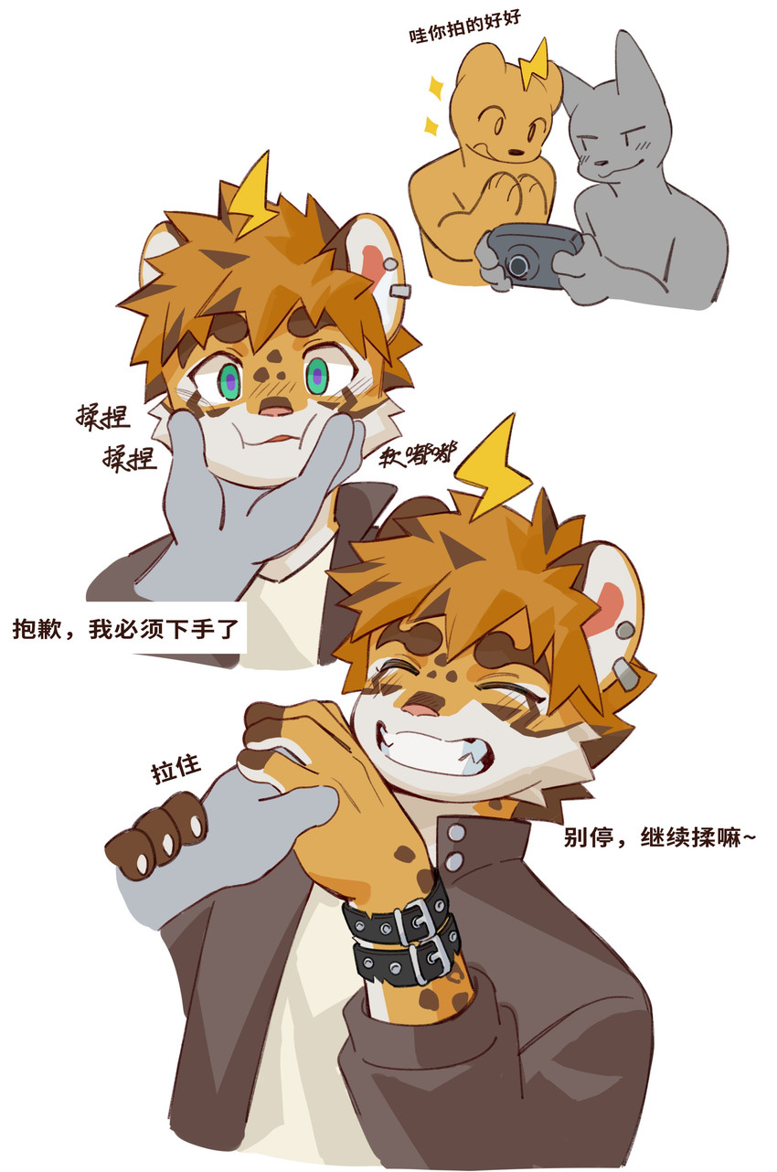 anthro anon created by joeyzliaotang