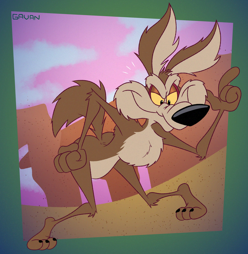 wile e. coyote (warner brothers and etc) created by gavanzude