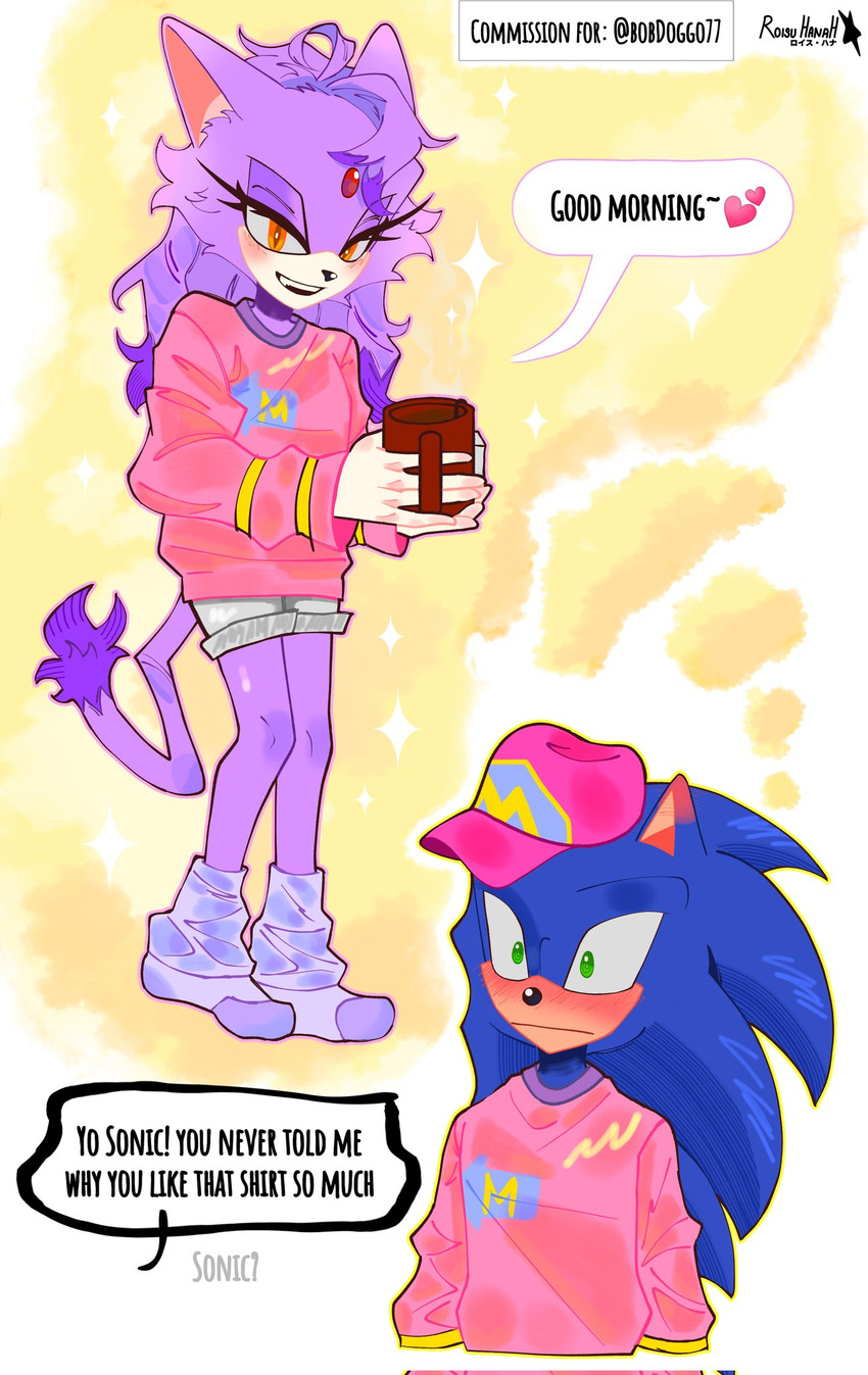 blaze the cat and sonic the hedgehog (sonic the hedgehog (series) and etc) created by roisu hanah