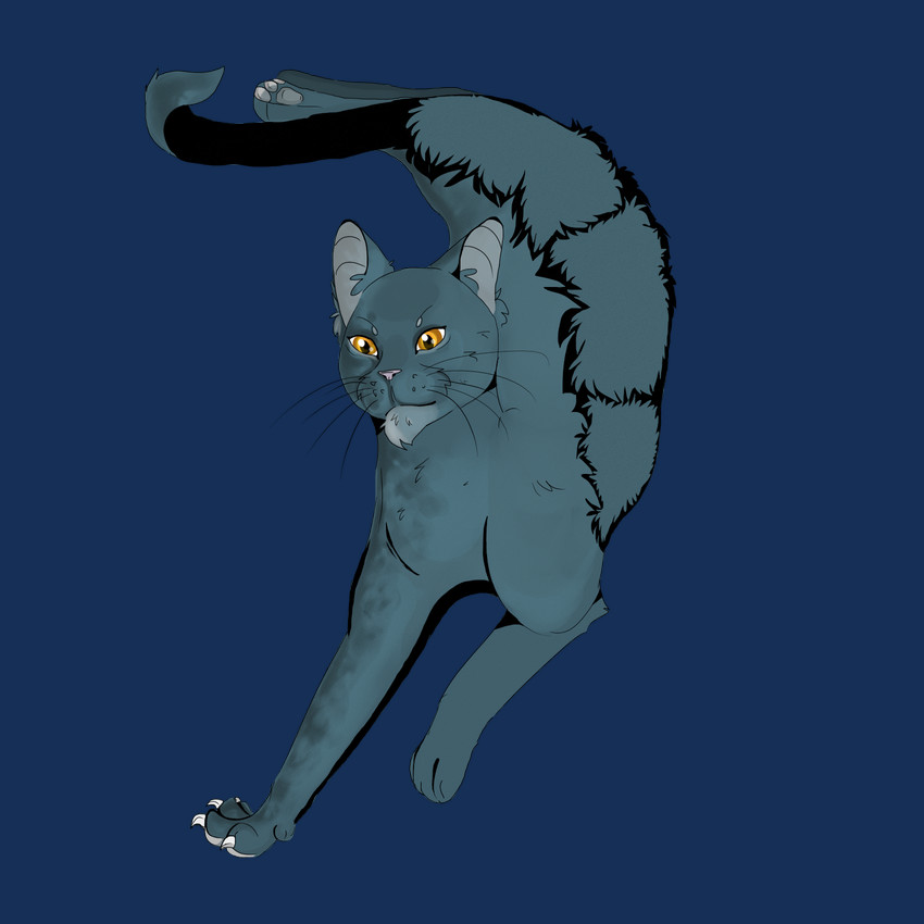 jalal the paw (varjak paw) created by lightcourage