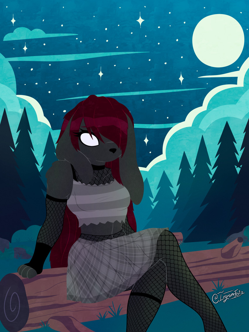 created by irgramfox