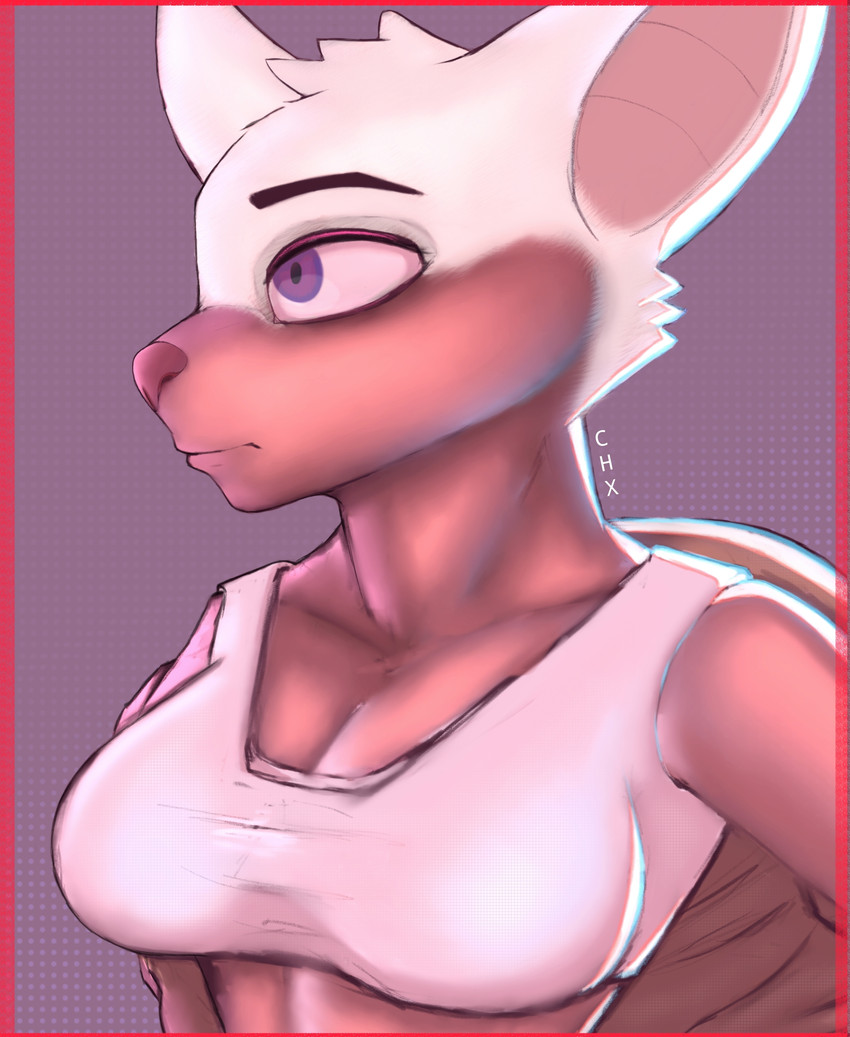 rouge the bat (sonic the hedgehog (series) and etc) created by cheexy