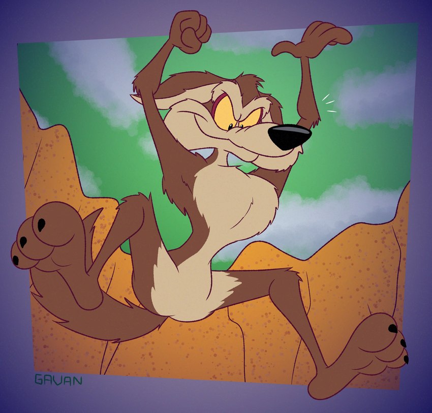 wile e. coyote (warner brothers and etc) created by gavanzude