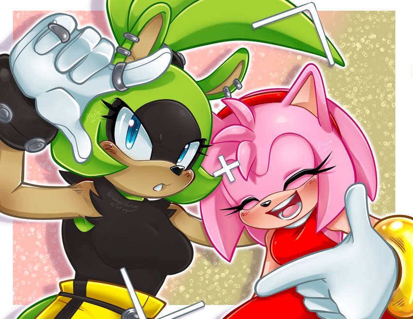 amy rose and surge the tenrec (sonic the hedgehog (comics) and etc) created by bingusbnuy