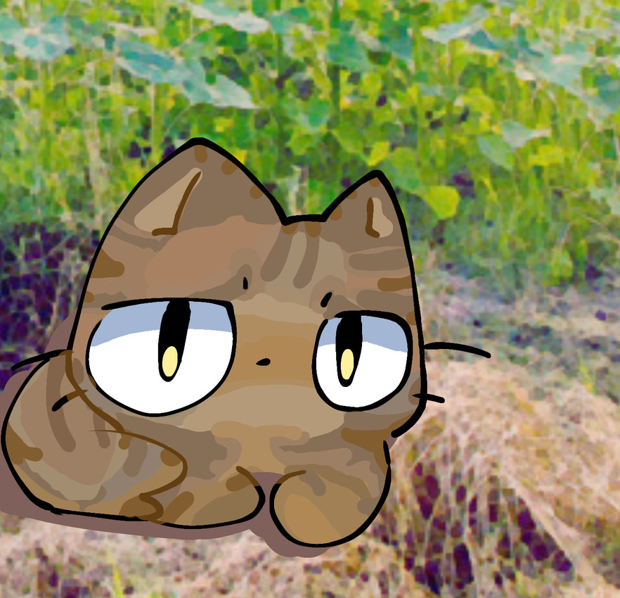 created by craoluck