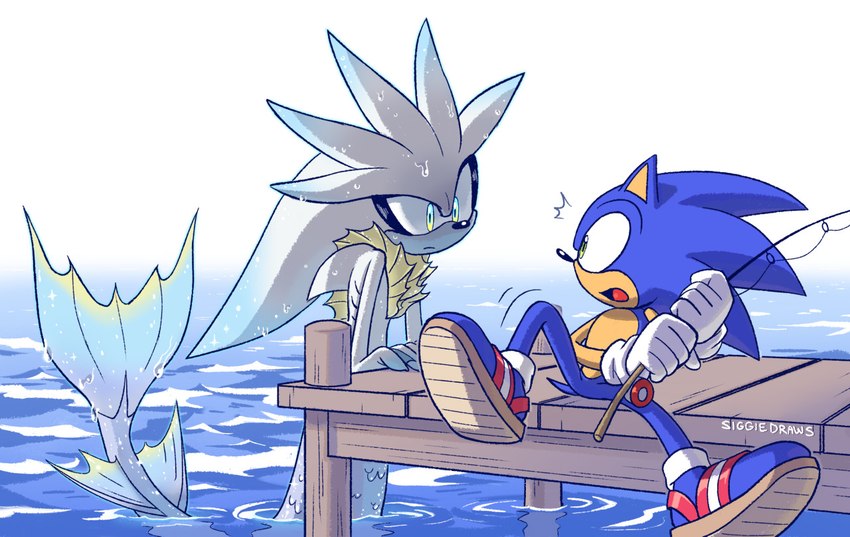 silver the hedgehog and sonic the hedgehog (sonic the hedgehog (series) and etc) created by siggiedraws