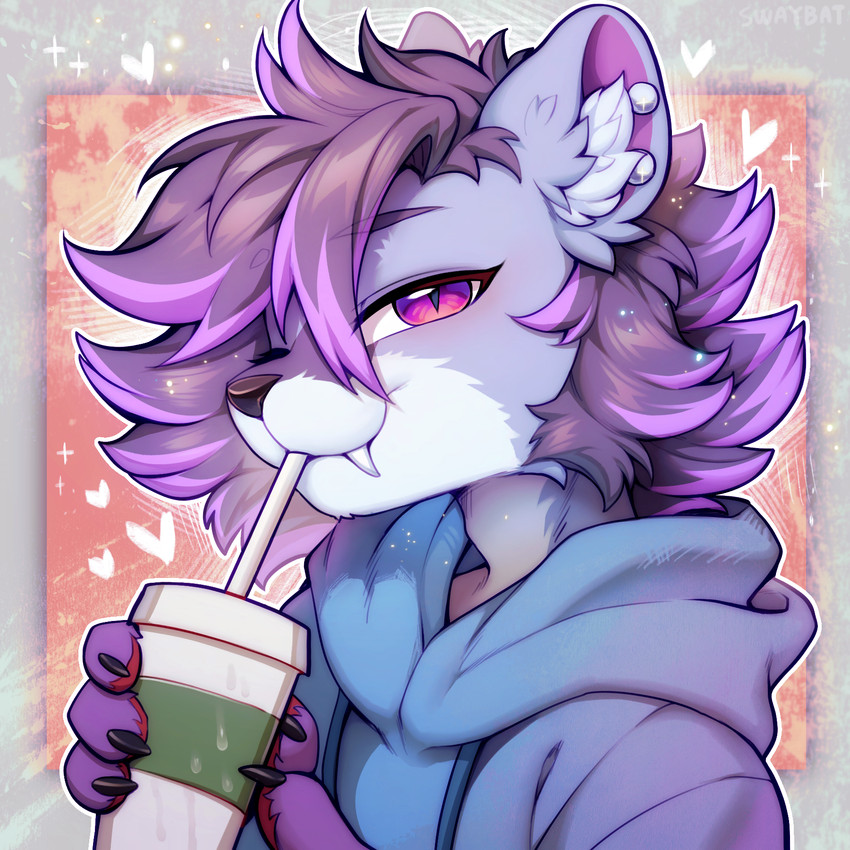 aster created by swaybat