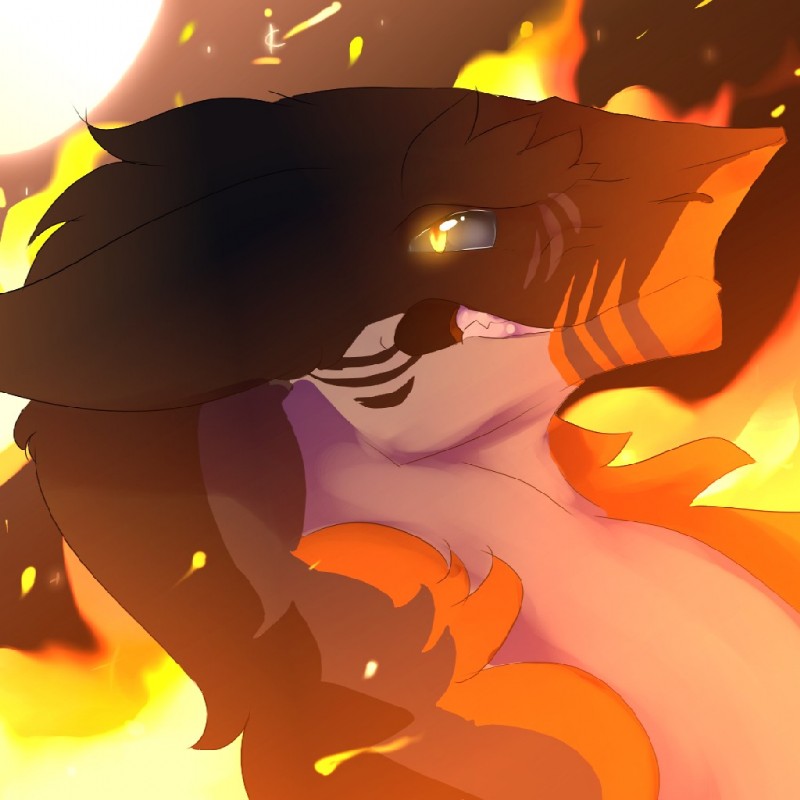 livideclipse created by murkey