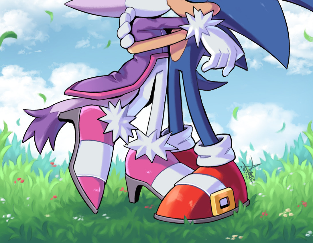 blaze the cat and sonic the hedgehog (sonic the hedgehog (series) and etc) created by angiethecat